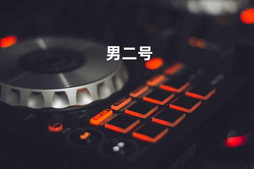 男二号