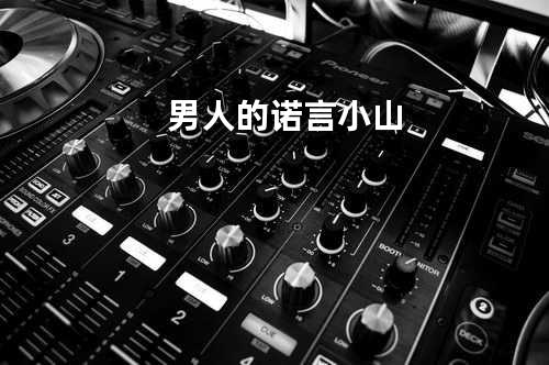 男人的诺言-小山