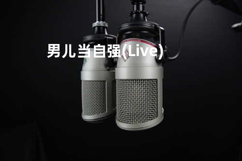 男儿当自强(Live)