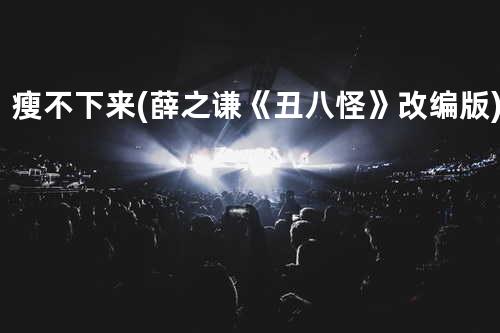 瘦不下来-(薛之谦《丑八怪》改编版)