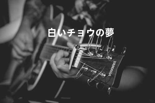 白いチョウの夢