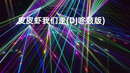 皮皮虾我们走 (DJ咚鼓版)