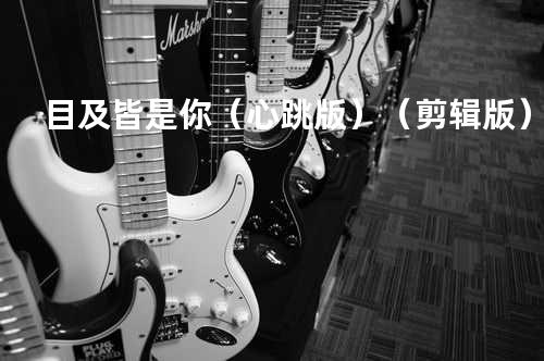 目及皆是你(心跳版)(剪辑版)