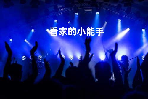 看家的小能手