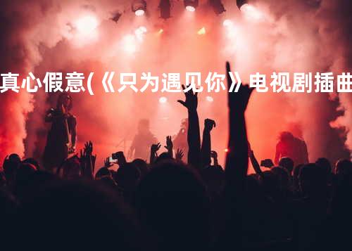真心假意 (《只为遇见你》电视剧插曲)