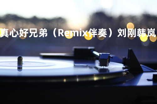 真心好兄弟(Remix 伴奏) - 刘刚&韩岚