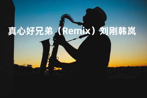 真心好兄弟(Remix)- 刘刚&韩岚