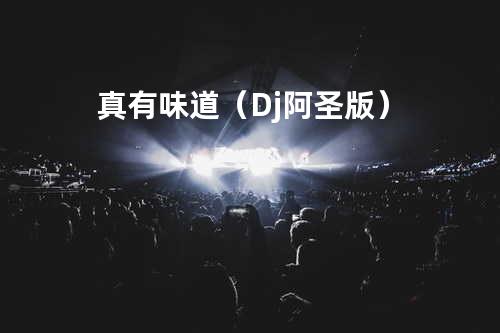 真有味道(Dj阿圣版)