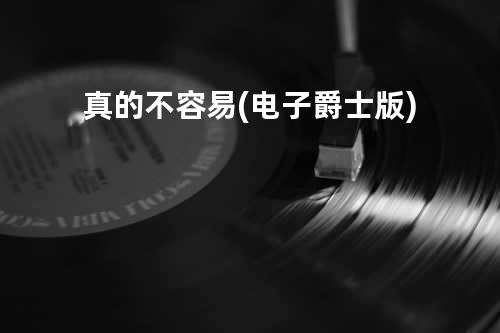 真的不容易(电子爵士版)