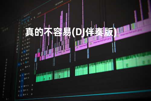 真的不容易(DJ 伴奏版)