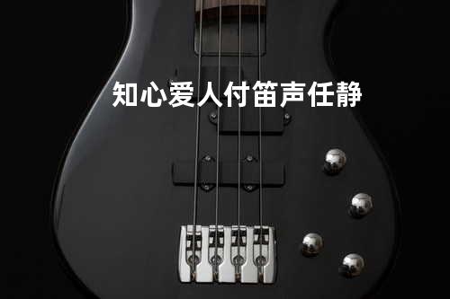 知心爱人 付笛声/任静