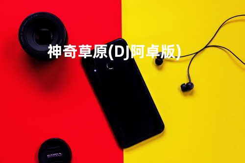 神奇草原(DJ阿卓版)