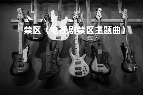 禁区(电视剧禁区主题曲)