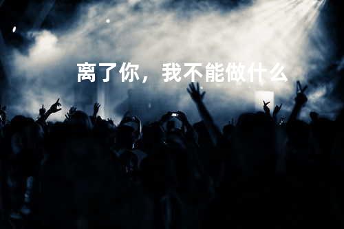 离了你,我不能做什么