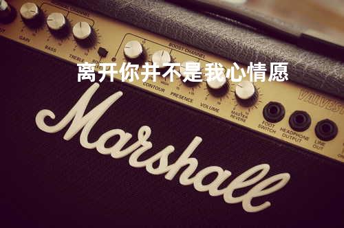 离开你并不是我心情愿