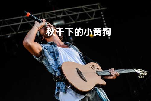 秋千下的小黄狗