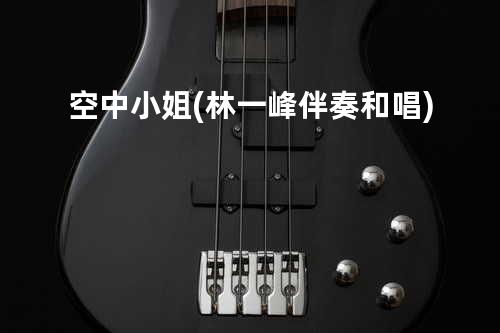 空中小姐(林一峰伴奏/和唱)