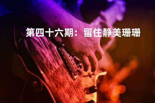 第四十六期:留住静美 - 珊珊