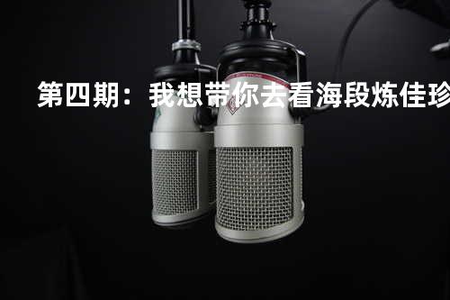第四期:我想带你去看海 - 段炼&佳珍