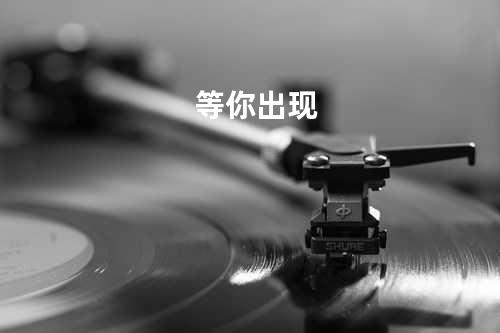 等你出现