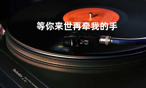 等你来世再牵我的手
