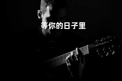 等你的日子里