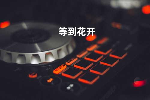 等到花开