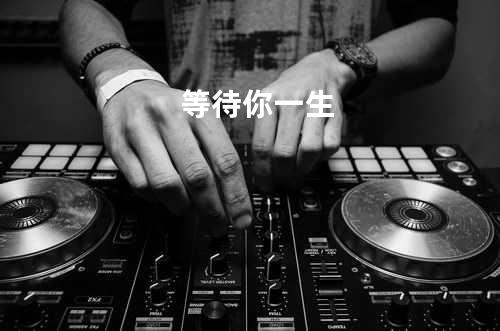 等待你一生