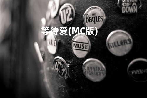 等待爱(MC版)