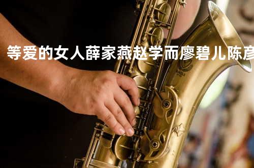 等爱的女人 - 薛家燕/赵学而/廖碧儿/陈彦行