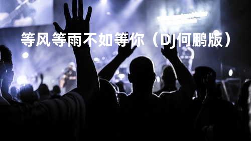 等风等雨不如等你(DJ何鹏版)