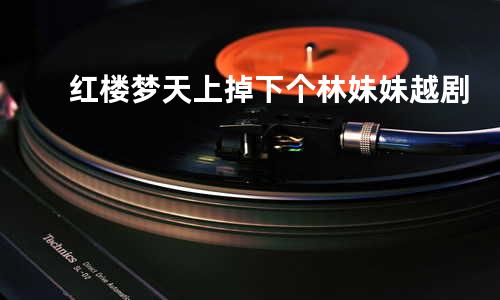 红楼梦 天上掉下个林妹妹 越剧