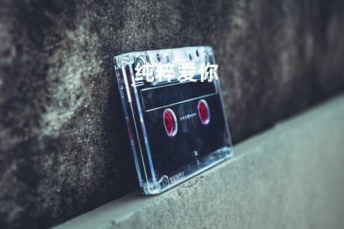 纯粹爱你