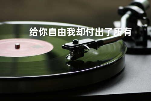 给你自由我却付出了所有