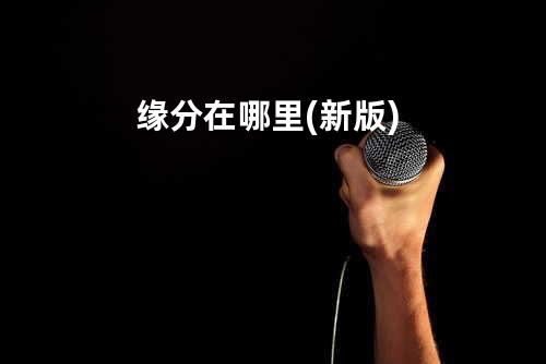 缘分在哪里(新版)