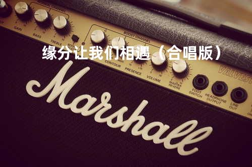 缘分让我们相遇(合唱版)