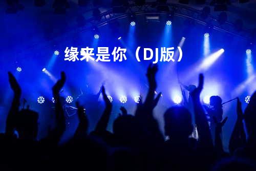 缘来是你(DJ版)