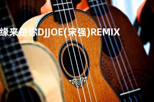 缘来是你 DJ JOE (宋强) REMIX