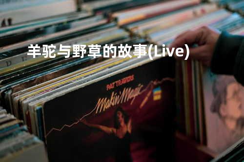 羊驼与野草的故事(Live)
