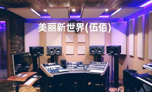 美丽新世界(伍佰)