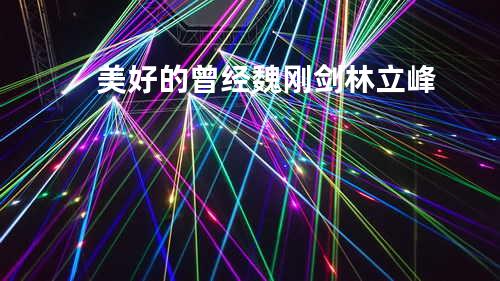 美好的曾经 - 魏刚剑&林立峰