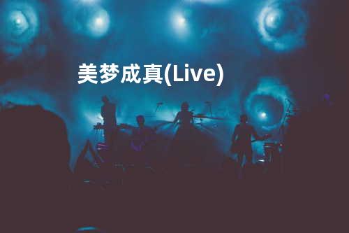 美梦成真 (Live)