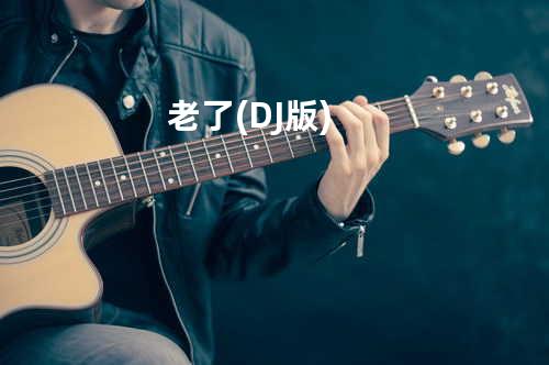 老了(DJ版)