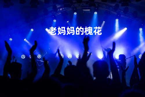 老妈妈的槐花