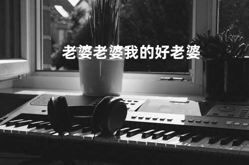 老婆老婆我的好老婆