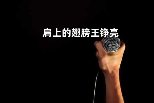 肩上的翅膀 - 王铮亮