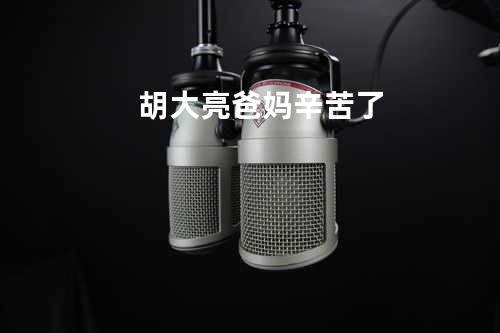 胡大亮 - 爸妈辛苦了