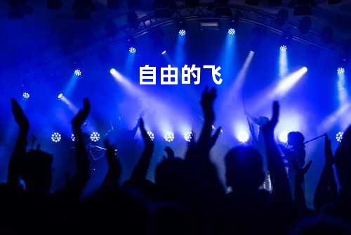 自由的飞