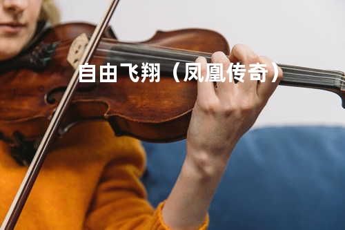 自由飞翔(凤凰传奇)