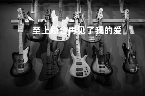 至上励合-再见了我的爱